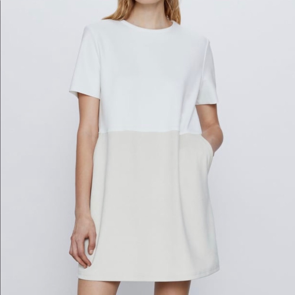 Zara Faux Suede Dress NWT